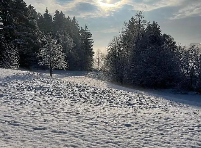 Haeusle In Der Tannenmuehle Tatil Evi