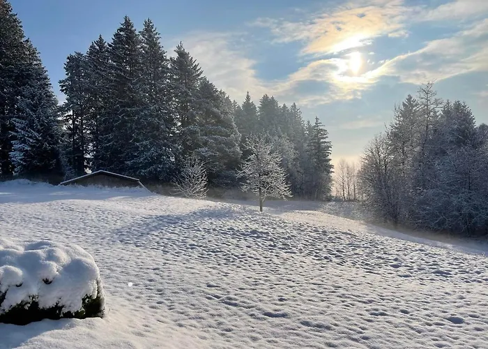 Haeusle In Der Tannenmuehle