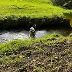 Haeusle In Der Tannenmuehle
