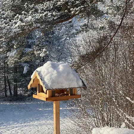 Häusle In Der Tannenmühle Seeg
