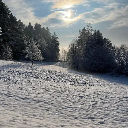 Haeusle In Der Tannenmuehle Holiday home